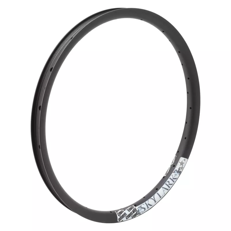 Alienation Skylark 20in 36H Rim