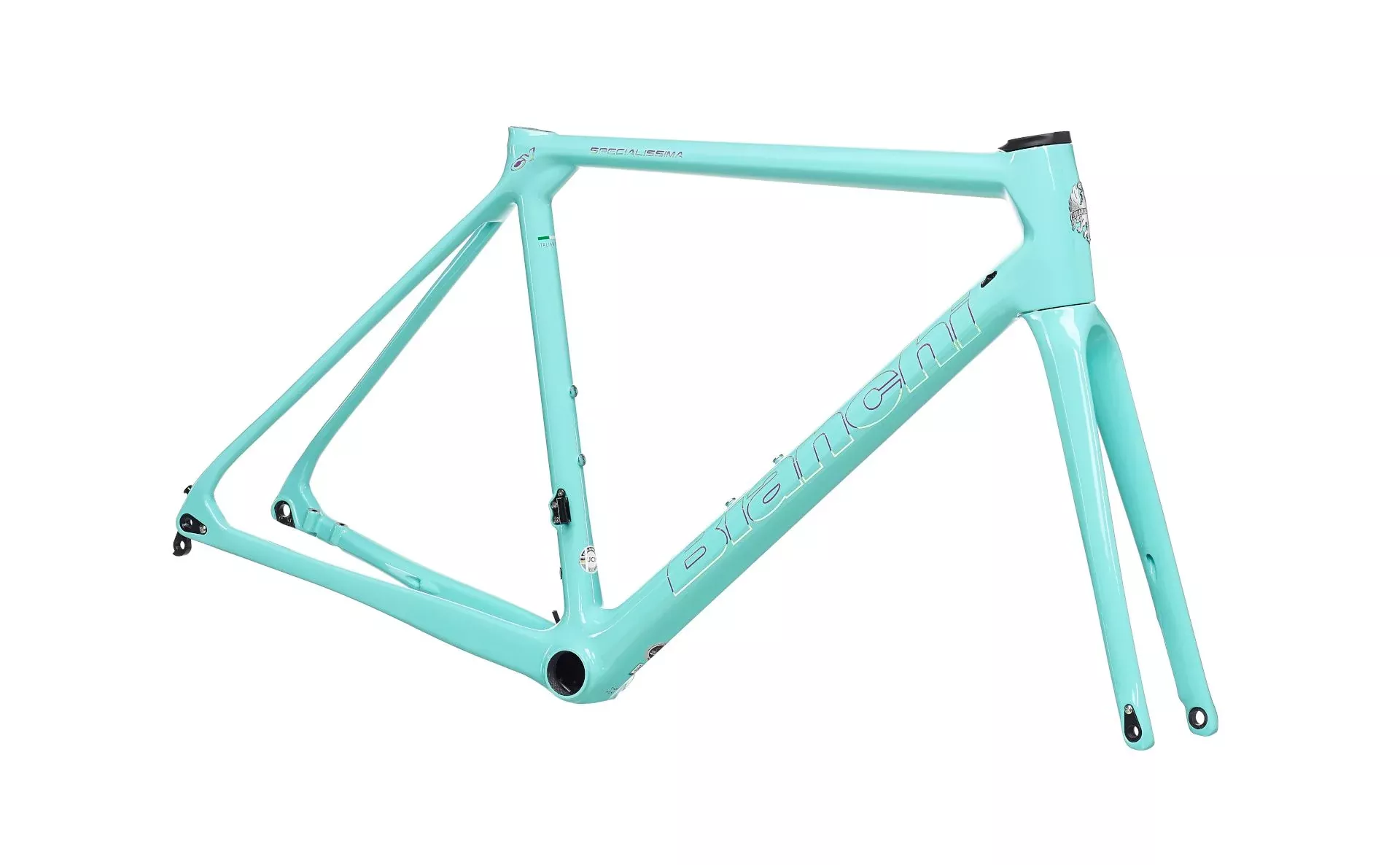 bianchi-specialissima-disc-frameset BIANCHI Specialissima disc Frameset