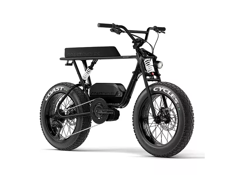 Coast Cycles BUZZRAW X MR