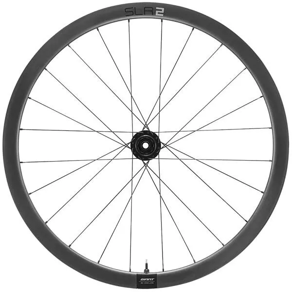 giantslr-2-36-disc-rear GiantSLR 2 36 Disc Rear