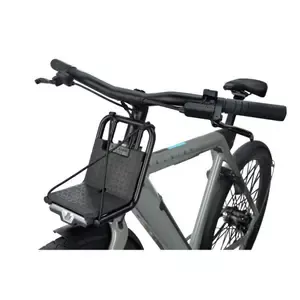 raleighfront-luggage-rack-one RaleighFront luggage rack One